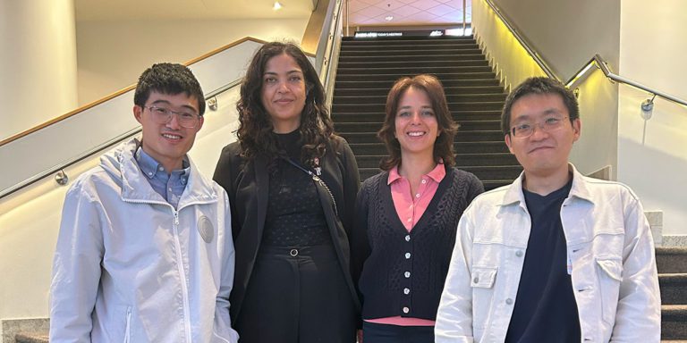 Jiawei Zheng, Jiazhen Zhang, Gokcen Yilmaz, and Saeema Ahmed-Kristensen